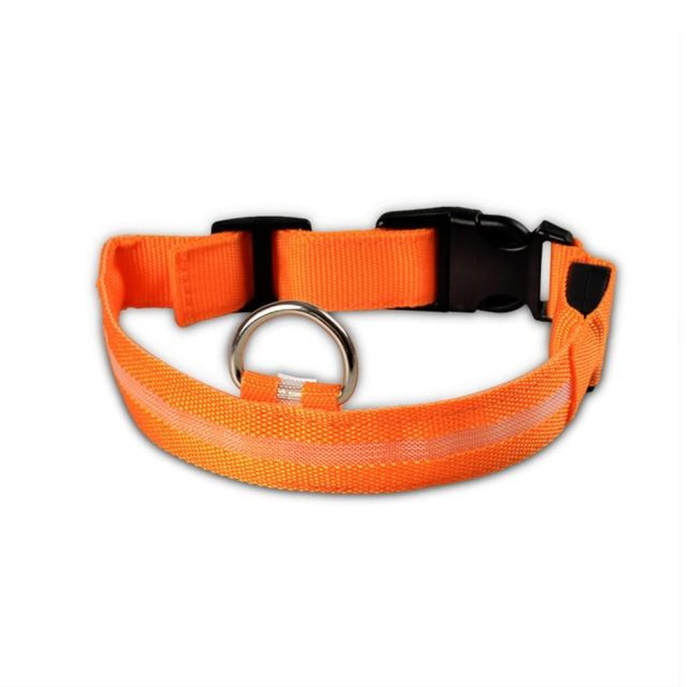 LED Dog Collar 2-Pack – Adjustable Nylon Flashing Safety Collar for Night Walking (Replaceable Battery)