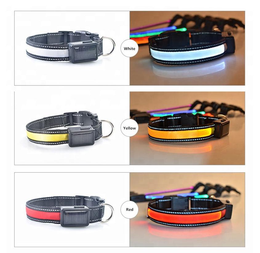 Solar LED Dog Collar – Rechargeable Safety Collar with Solar & USB Charging, Reflective High-Visibility Night Collar