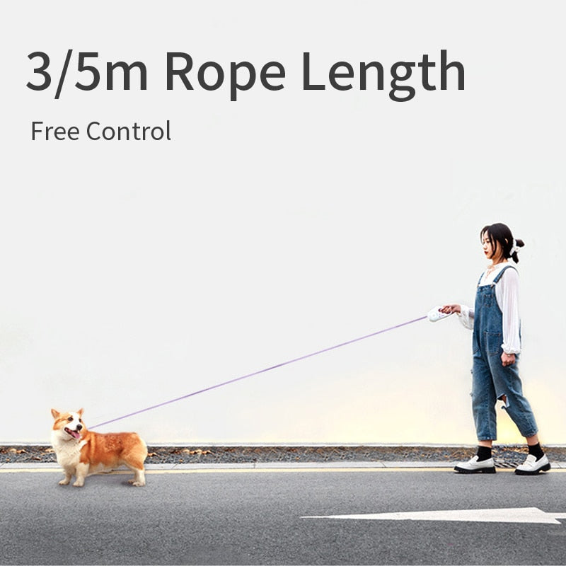 Retractable LED Dog Leash with Flashlight – 3M / 5M Automatic Pet Leash with RGB Light Ring for Night Walking