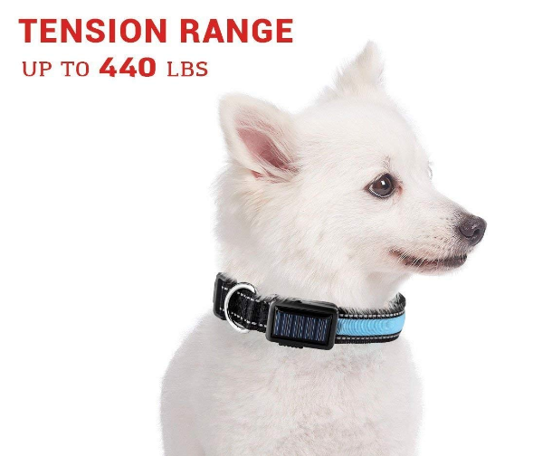 Solar LED Dog Collar – Rechargeable Safety Collar with Solar & USB Charging, Reflective High-Visibility Night Collar