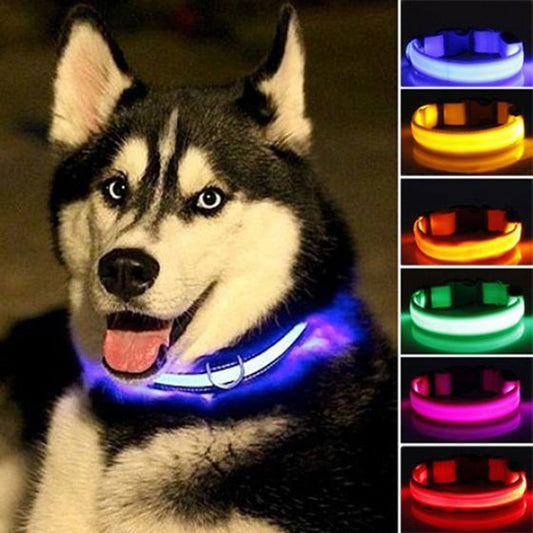 LED Dog Collar 2-Pack – Adjustable Nylon Flashing Safety Collar for Night Walking (Replaceable Battery)