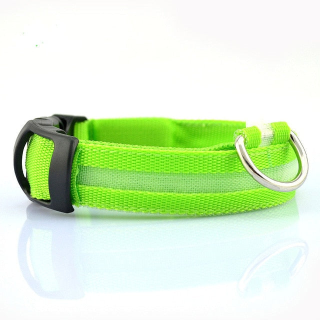 LED Dog Collar 2-Pack – Adjustable Nylon Flashing Safety Collar for Night Walking (Replaceable Battery)