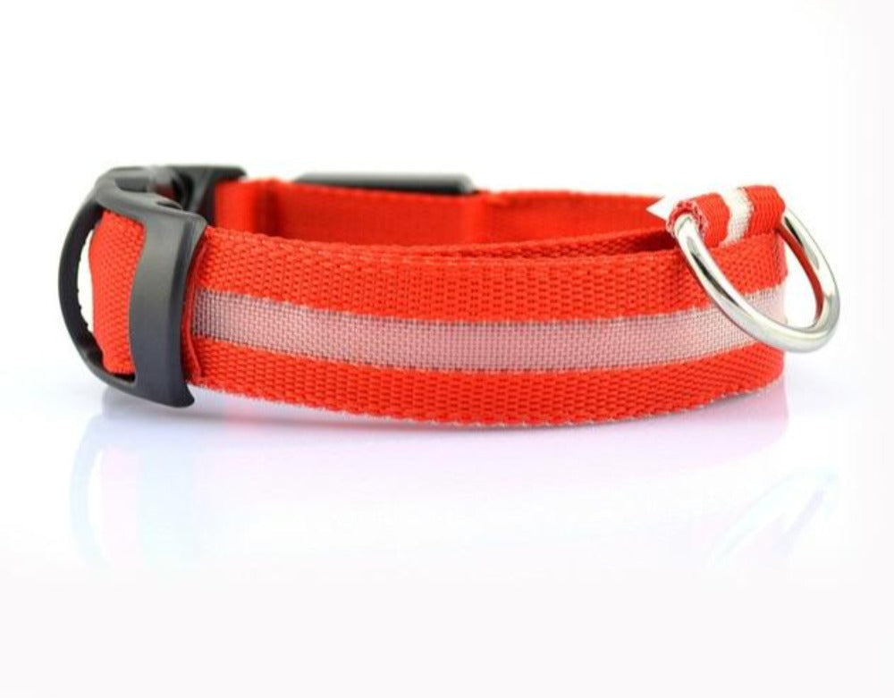 LED Dog Collar 2-Pack – Adjustable Nylon Flashing Safety Collar for Night Walking (Replaceable Battery)