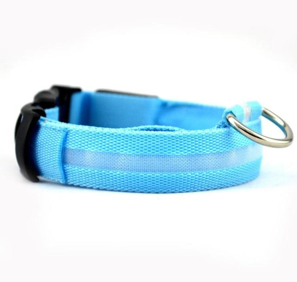 LED Dog Collar 2-Pack – Adjustable Nylon Flashing Safety Collar for Night Walking (Replaceable Battery)