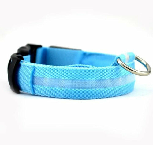 LED Dog Collar 2-Pack – Adjustable Nylon Flashing Safety Collar for Night Walking (Replaceable Battery)