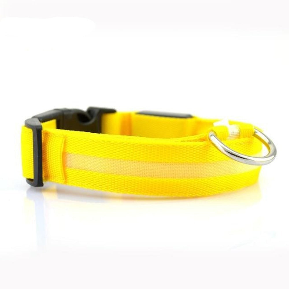 LED Dog Collar 2-Pack – Adjustable Nylon Flashing Safety Collar for Night Walking (Replaceable Battery)