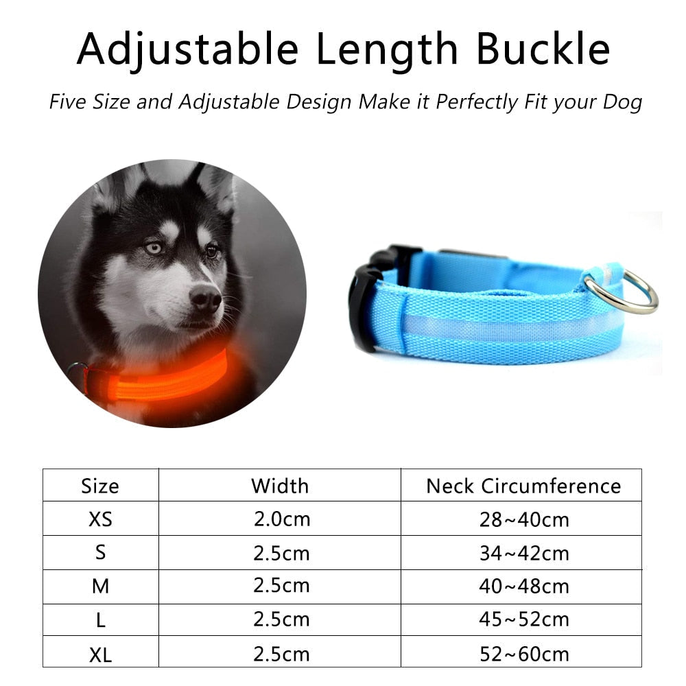 LED Dog Collar 2-Pack – Adjustable Nylon Flashing Safety Collar for Night Walking (Replaceable Battery)
