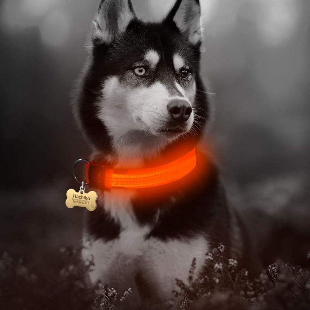 LED Dog Collar 2-Pack – Adjustable Nylon Flashing Safety Collar for Night Walking (Replaceable Battery)